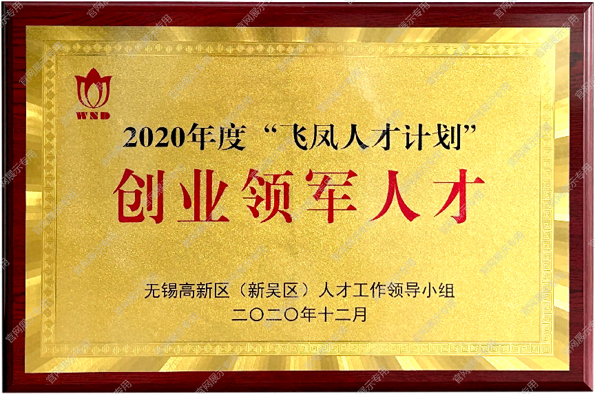 创业领军人才-2020